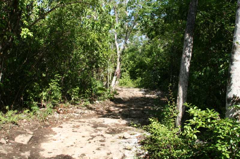 Mexico & Guatemala 2010 - 1275